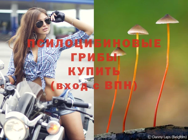 кокаин перу Аркадак